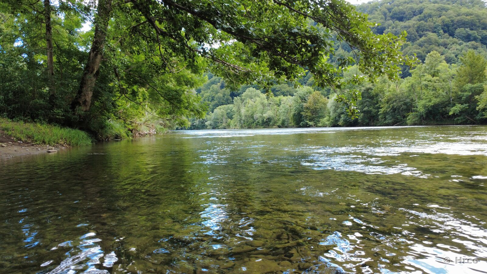 River view from water level
